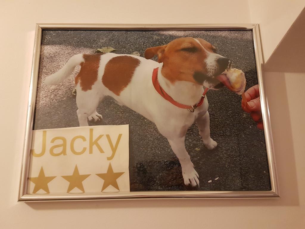 Jacky - City Centar Zagreb Ngoại thất bức ảnh